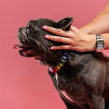 DailyGel – Pink Line