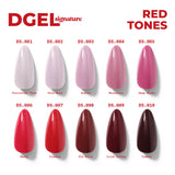 DGel Signature Builder 100'lü Starter Set