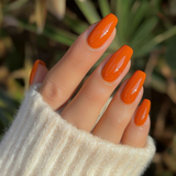 DGel Signature Series Orange Tones
